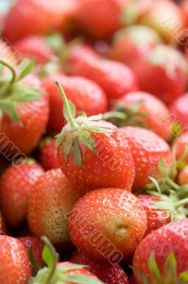 Ripe red strawberries