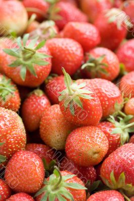 Ripe strawberries closeup