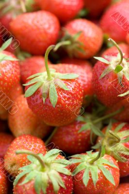 Ripe strawberries