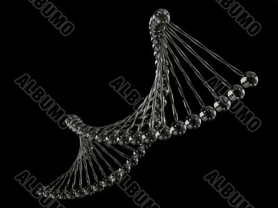 Coputer generated model of DNA