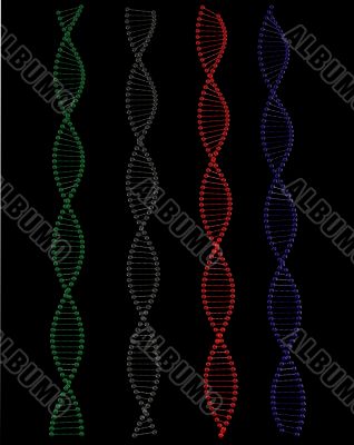 Coputer generated model of DNA