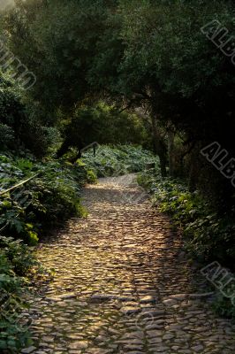 Beautiful park with trees in France