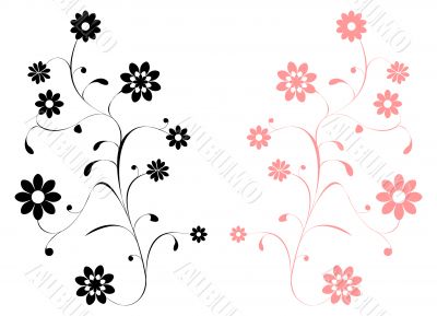 Vector floral pattern