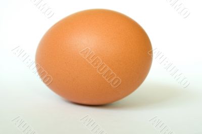 Brown_egg