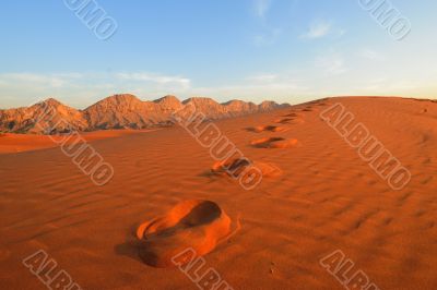 Footsteps in the desert