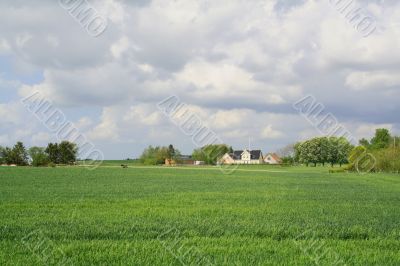 Denmark countryside 1