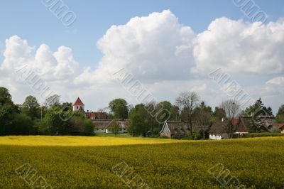 Denmark countryside 2