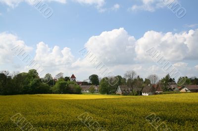 Denmark countryside 3