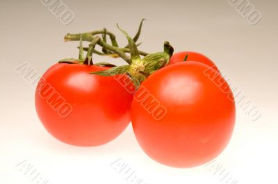 Three red tomatoes