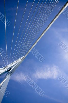 Erasmus Bridge. Details