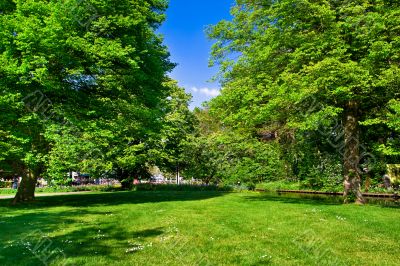 Colourful park in spring time.