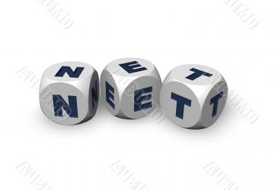 net domain