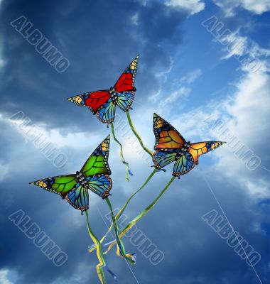 Kites