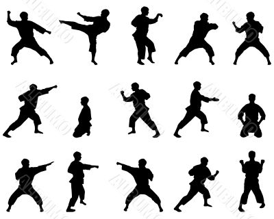 Silhouettes of positions of the karateka.