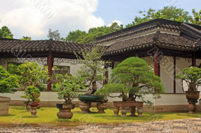 Chinese Garden in Singapore