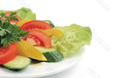 Spring`s salad