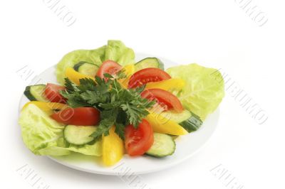 Spring`s salad