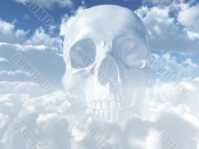 skull