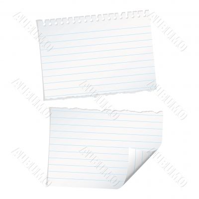 single page torn