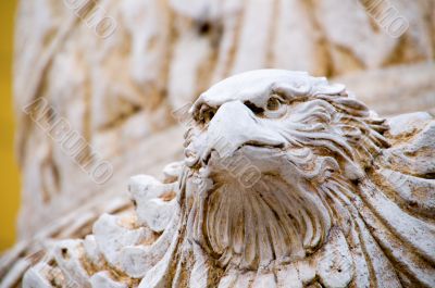 The close up of carving eagle