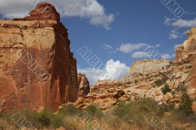 Capitol Reef National Park