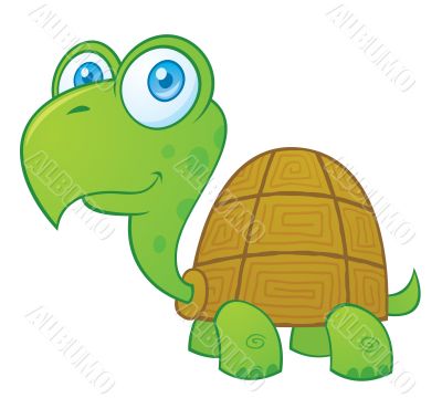 Cartoon Turtle