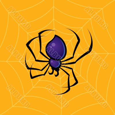 Spider with Web Background