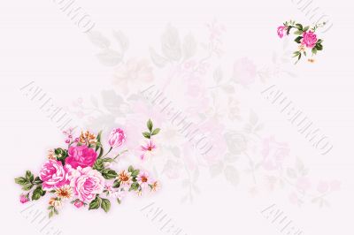 Pink flowers