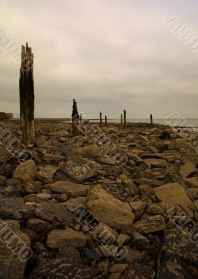 Wooden posts on a rocky beach