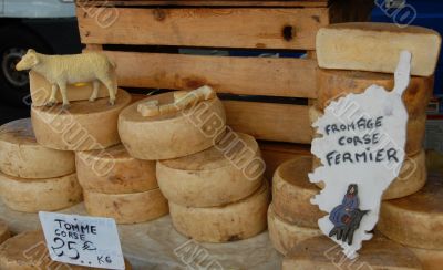 ewe`s cheeses