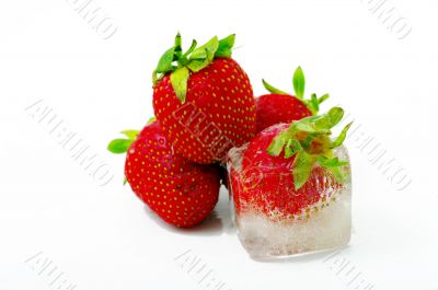 One strawberry into ice