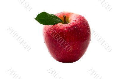Red apple