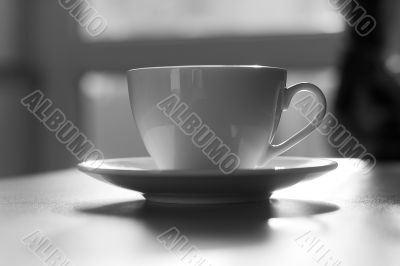 Cup on gray