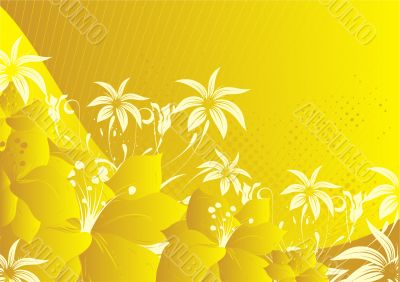 Yellow flowers