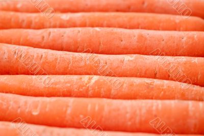 Treated carrots