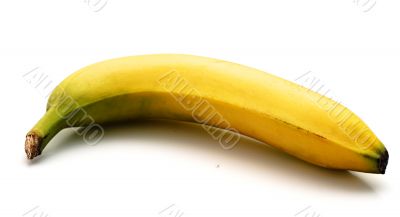 Banana isolated