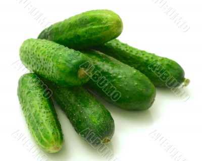 Cucumbers on a white