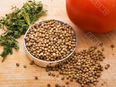 The seeds of coriander