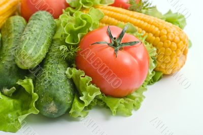 Foodgroup: vegetables