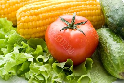 Foodgroup: vegetables