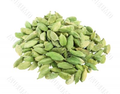 Cardamoms isolated