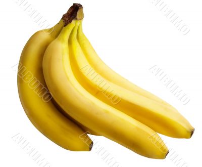 Yellow ripe bananas isolated