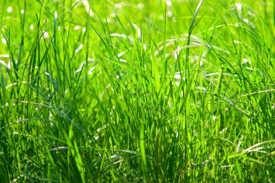 Health and nature concept