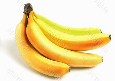 Yellow ripe bananas isolated