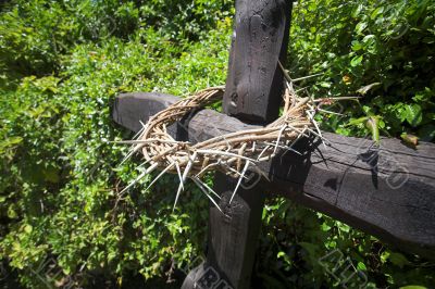 Crown of thorns