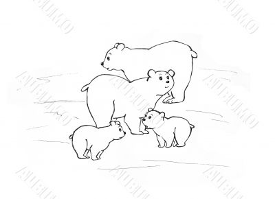 Arctic bears