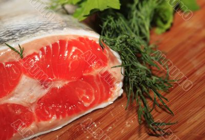 Fresh salmon