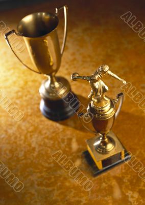 Trophies. On brown background