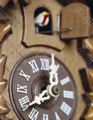 Cuckoo Clock