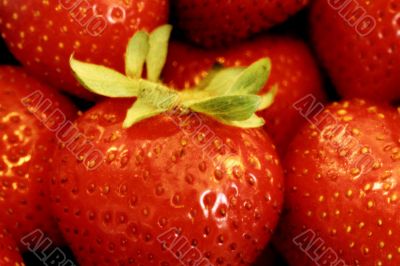 red strawberries and green leaf